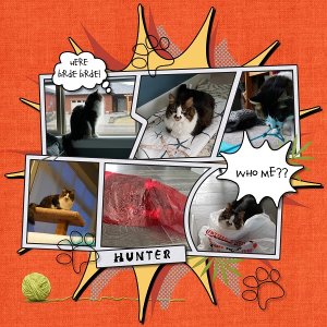 A day in the life of Hunter