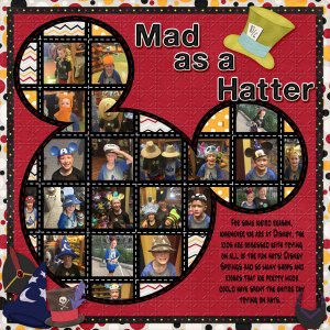 2016 Hats
