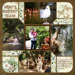 Disney Discovery Island