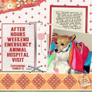 to the animal hospital