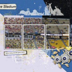 Mapfre Stadium