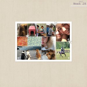 Week 28, 2017
