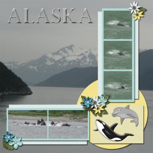 Watching Whales
