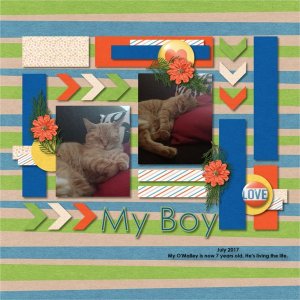 My Boy