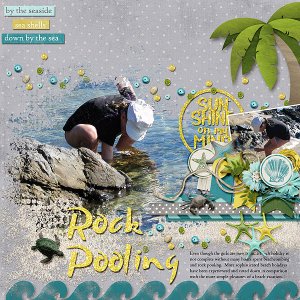 Rock Pooling