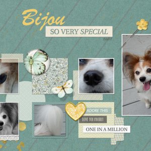 Bijou - So Very Special