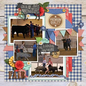 Market Hogs and Steers