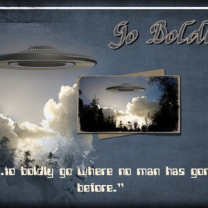 Go Boldly