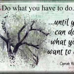 ATC 2017-121 What You Want To