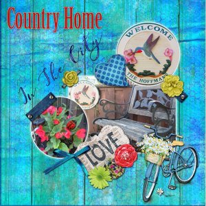 Country Home In the City