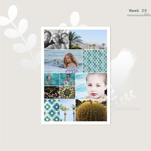 Week 29