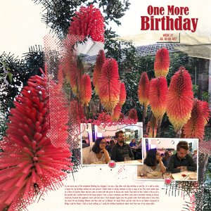 One More Birthday