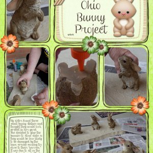 The Ohio Bunny Project