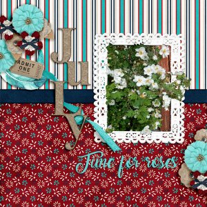 July---Time-for-roses