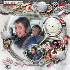 Sky Pilots