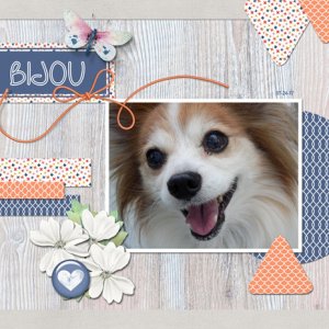 Bijou