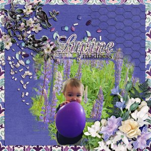 Lupine-madness
