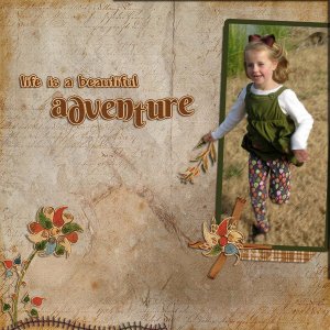 Beautiful Adventure