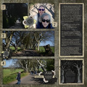 Vacation Album