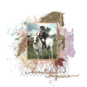 sandie03_noble steed 2
