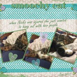 smoochy cat