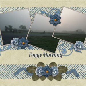 Foggy Morning