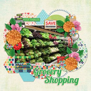 Grocery Shopping