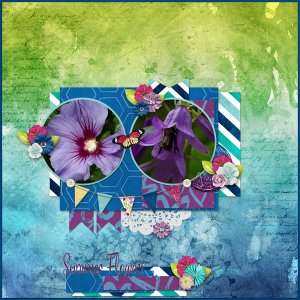 Purple Flowers