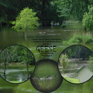 Flood-2017