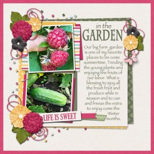 In the Garden