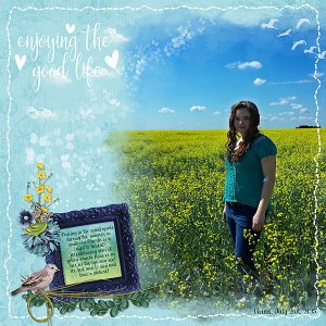 Canola_Fields_web