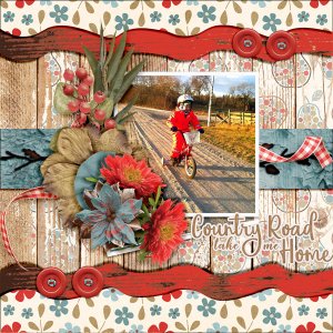 Country-road-take-me-home