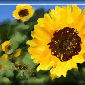 ATC 2017-123 Beautiful
