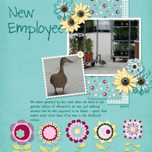 New Employee