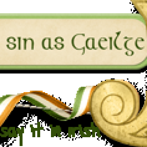 Say It in Irish