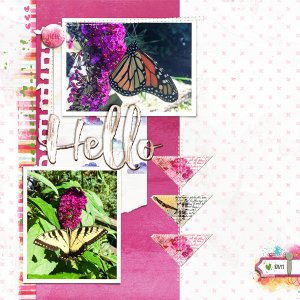 More Butterflies