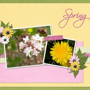 Spring