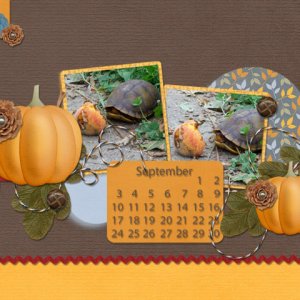 sept desktop