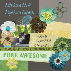 Pure Awesome ~Cats have Staff