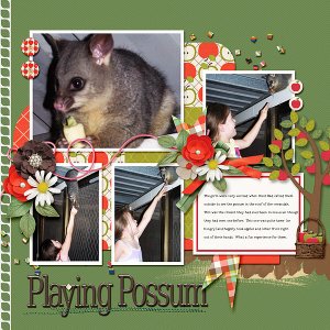 Playing Possum