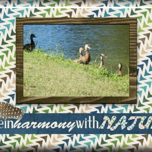 ATC 2017-124 #Live In Harmony With Nature