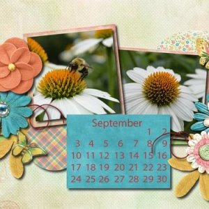 September