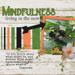 mindfulness