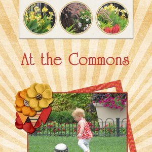At the Commons