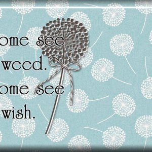 Weed or Wish