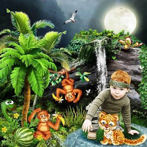 Voyage dans la Jungle