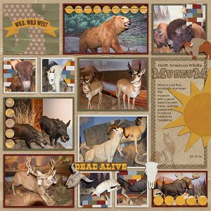 North American Wildlife Museum_L