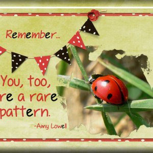 ATC 2017-128 Remember
