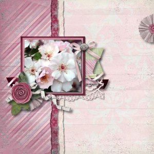 Dog Roses