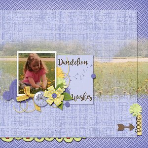 Dandelion Wishes